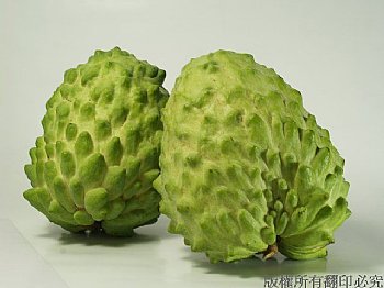 释迦\/手札图库