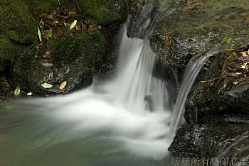 水流 小溪