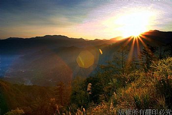 日出阿里山