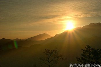 日出阿里山