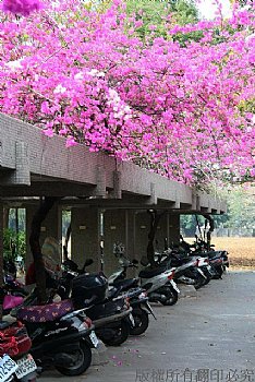 雲科大_春意停車場