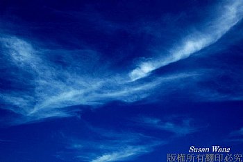 出現於七月份屏東海生館正前方上空,藍天加上似鳳的雲,令人驚喜!