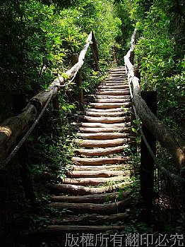 大坑登山步道