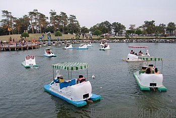 台中豐樂公園划船