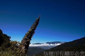 藍天、山、樹