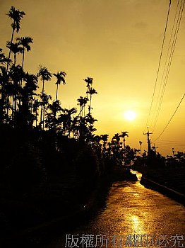 古坑華山夕景