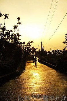 古坑華山夕景