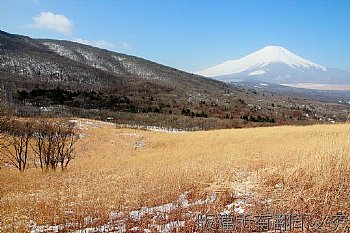 日本 富士山 雪景 山中湖 