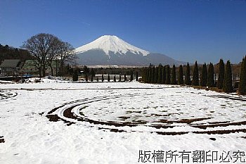 日本 富士山 雪景 花都公園 