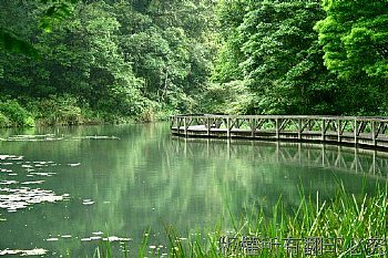 台北縣有山有水的風景，生態植被豐富，休閒健行好地方非福山植物園莫屬。