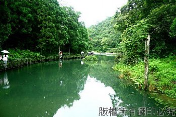 台北縣有山有水的風景，生態植被豐富，休閒健行好地方非福山植物園莫屬。