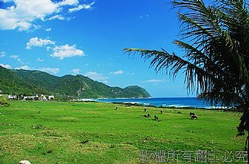 洄瀾夢土