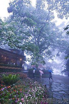 油桐花坊餐廳