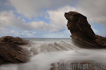 海狗聽濤