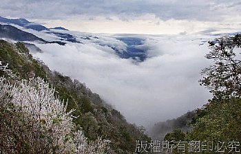 霧淞雲海