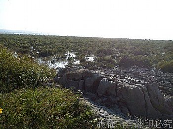 南寮的海岸