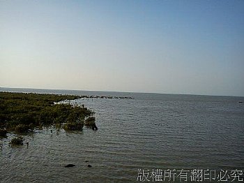 南寮的海岸