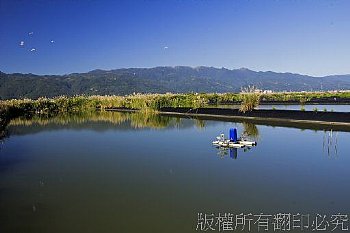 礁溪時潮村草蝦池風光