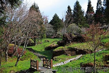 阿里山