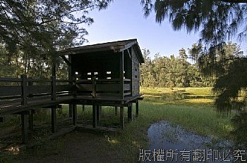 台東市琵琶湖森林公園