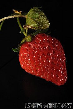 吃過草莓的香甜，想把那種感覺拍下來。