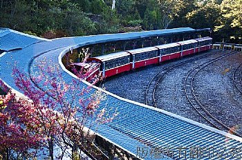 阿里山小火車