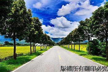 道路