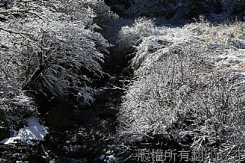 思源埡口霧淞雪景