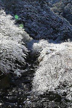 思源埡口霧淞雪景