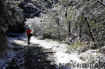 思源埡口霧淞雪景