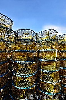捕蟹籠