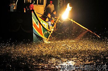 磺火捕魚