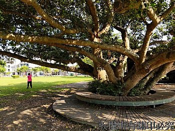 宜蘭運動公園 早晨運動