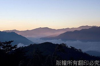 去福壽山拍楓葉意外檢到