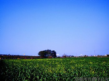 綠野藍天