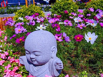 小佛陀的花園