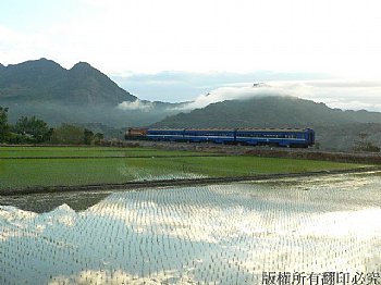 清晨普通車與水田倒影