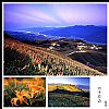 99年A8/27~29.B9/3~5花東金針花豪華旅拍