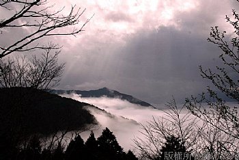 雲海