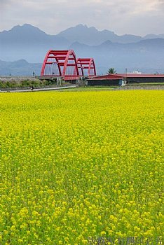花蓮客城僑