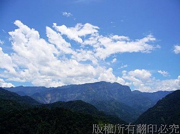 古坑樟湖山景