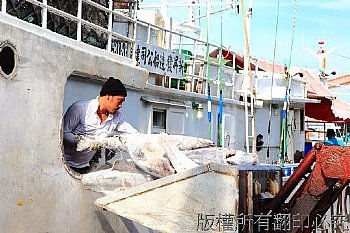 屏東縣東港鎮 東港漁港 漁獲卸貨 搬運漁獲 漁獲搬運 本地漁會拍賣場 漁市 魚市場 外勞 外籍勞工 外籍漁工