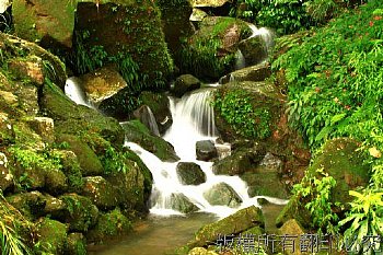 溪流