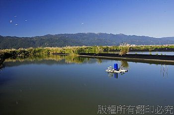礁溪時潮村草蝦池風光
