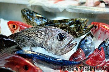 鮮魚