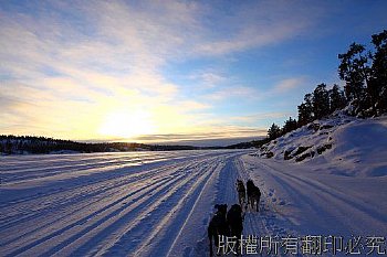 狗拉雪橇