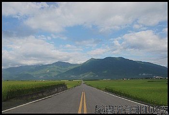 台東池上伯朗大道