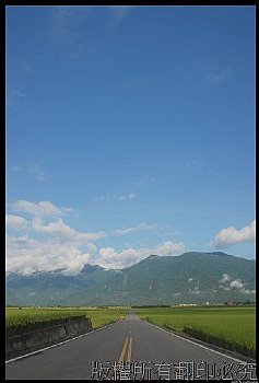台東池上伯朗大道