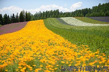 富田農場