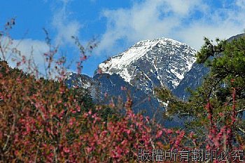 雪山